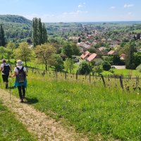 Retour sur Mesnay