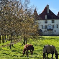 St Lamain et ses cheveaux