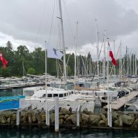 Le port de Nyon