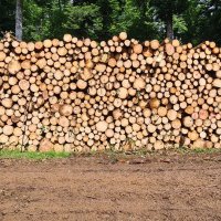 Un gros tas de bois